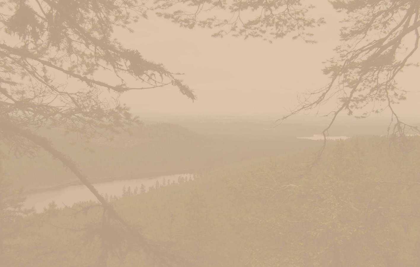 Hintergrund