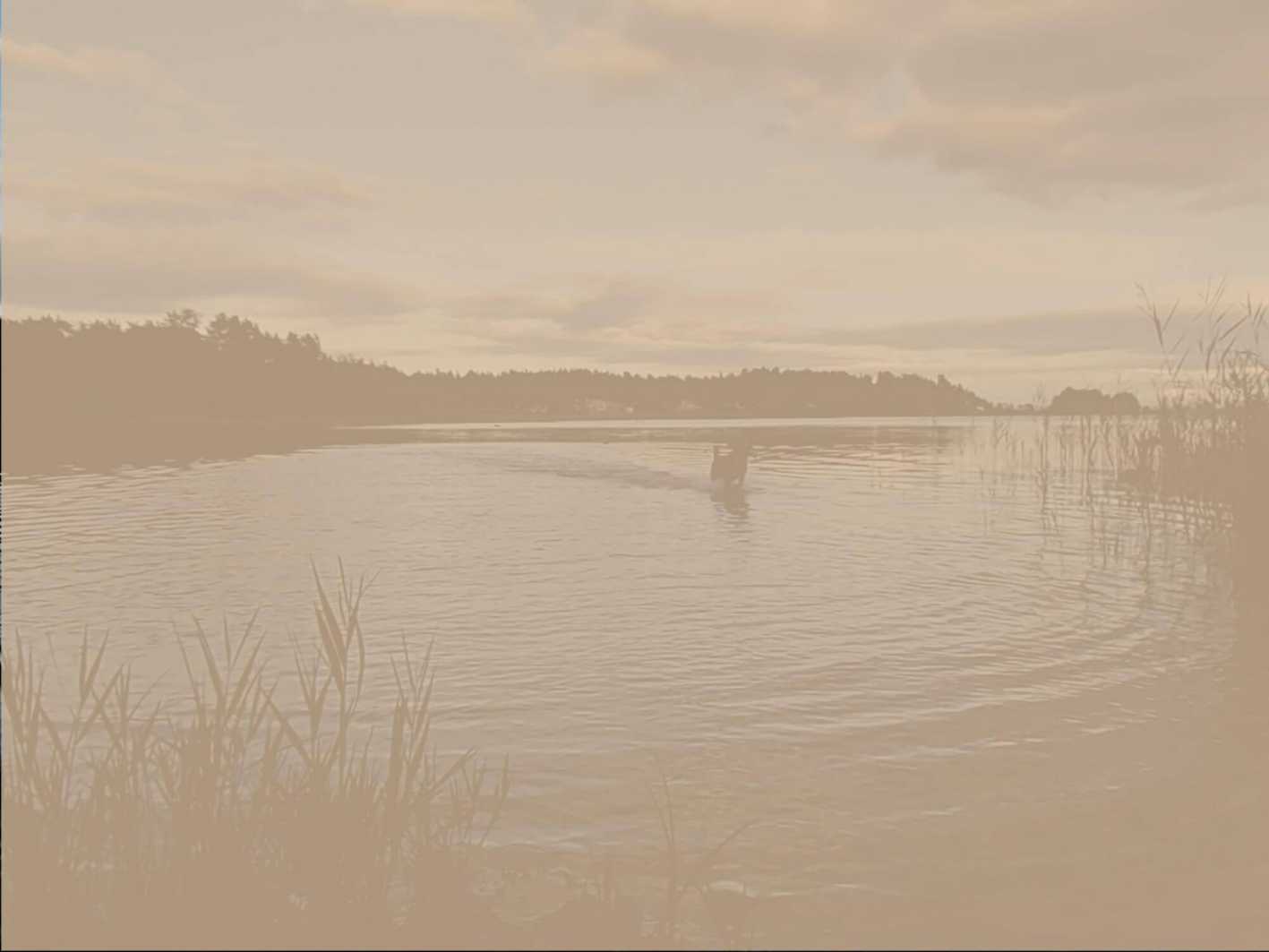 Hintergrund