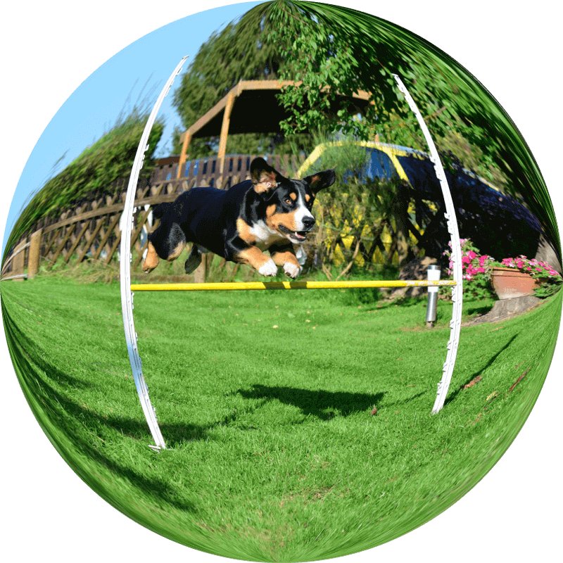 Agility