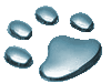 pfote