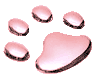 pfote