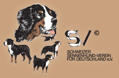 SSV-Link