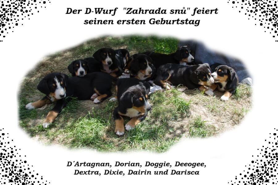 unsere welpen 2