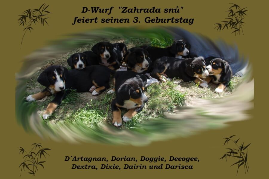 unsere welpen 2