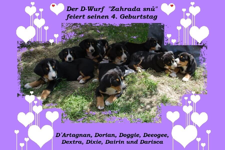 unsere welpen 2