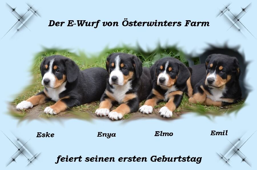 unsere welpen 5