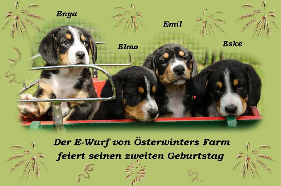 unsere welpen 5