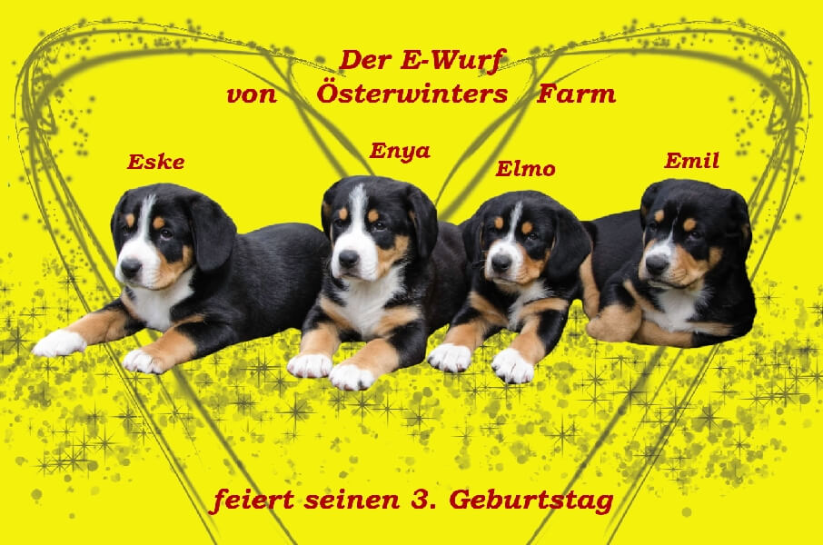 unsere welpen 5