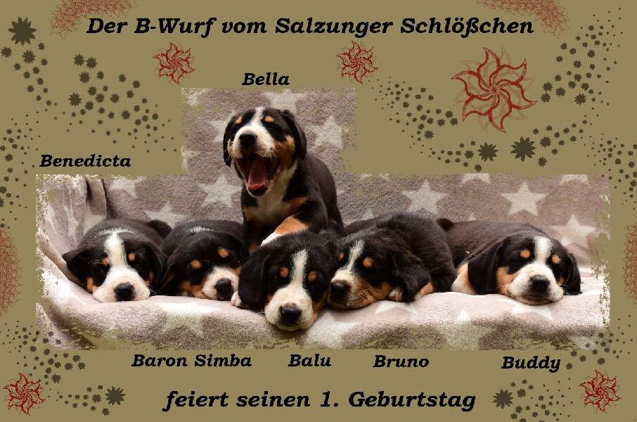 unsere welpen 6