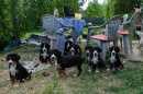 Unsere Welpen 2