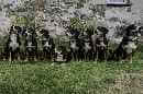Unsere Welpen 4